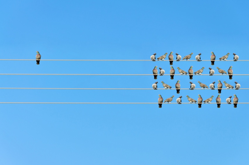 Feeling Common?:  4 Ways to Stand Out in a Crowded Market